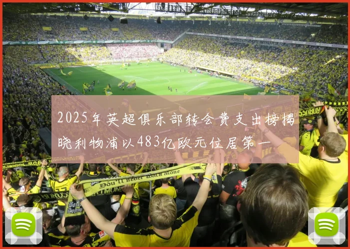 2025年英超俱乐部转会费支出榜揭晓利物浦以483亿欧元位居第一